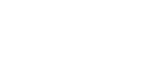 Limitless Flow - light logo